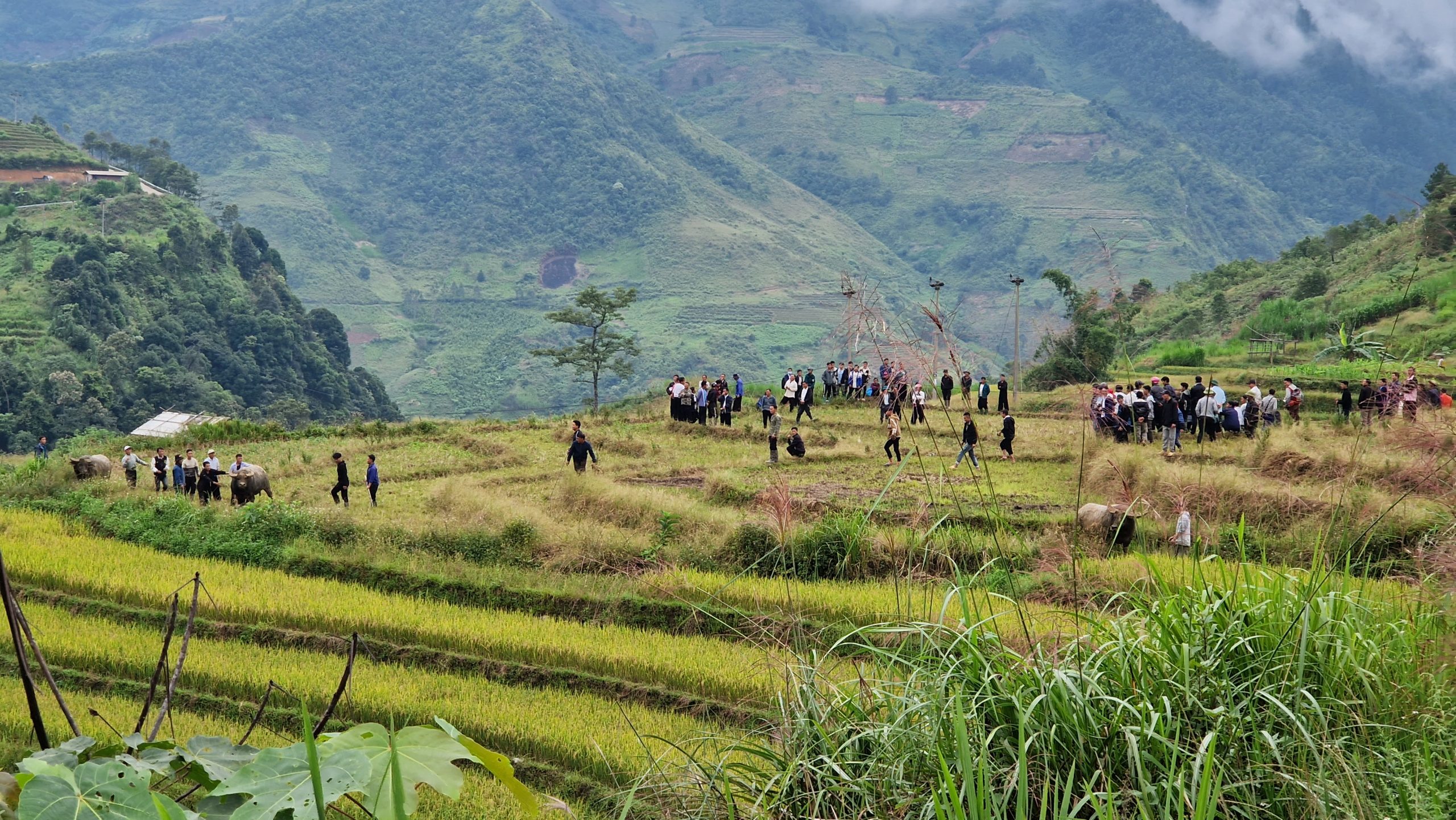 Ảnh minh họa bài viết: Vietnam Isn’t a Checklist — Here’s How to Really Experience It (Copy)