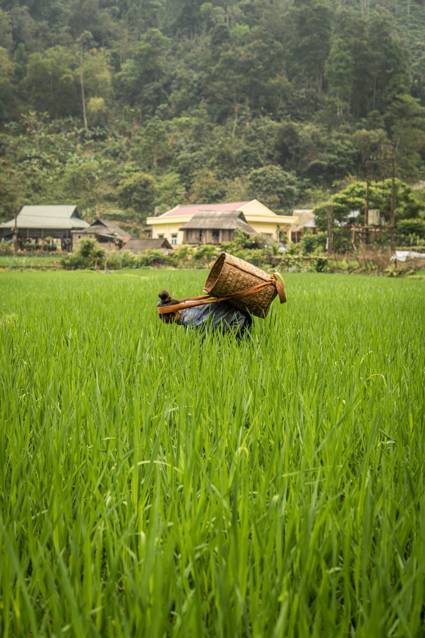 Slow Adventures (Copy)